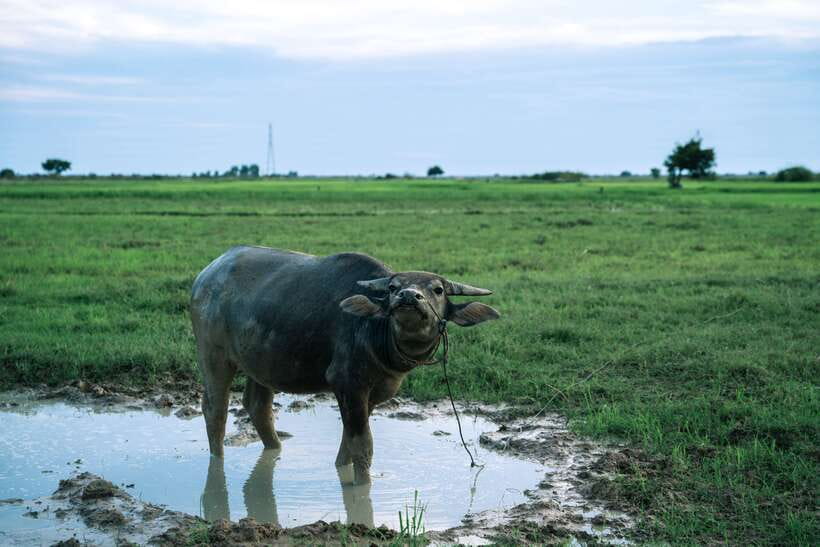 Siem Reap: Quad Bike Tour of Local Villages - Is $45 a fair price for 1.5 hours?