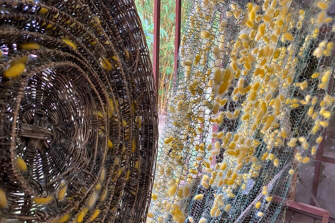 Siem Reap: Silk Farm & Countryside Offbeat Jeep Tour - The silk farm and Cambodia’s handmade craft