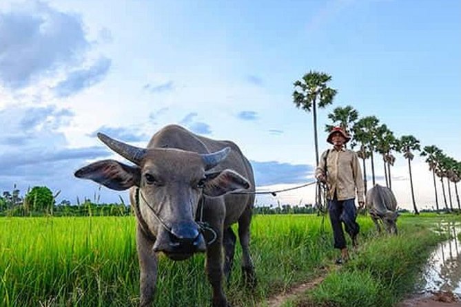Siem Reap: Silk Farm & Countryside Offbeat Jeep Tour - War Museum: a brief historical stop