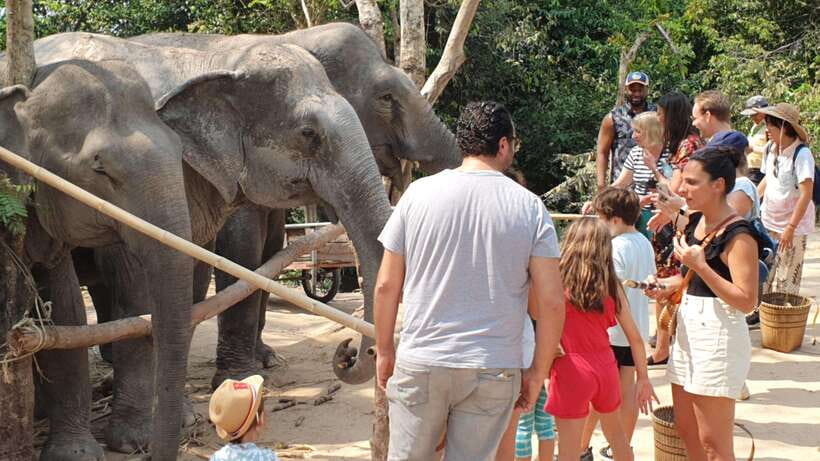 Siem Reap: Small Group Tour of Kulen Elephant Forest - Why this elephant visit feels different