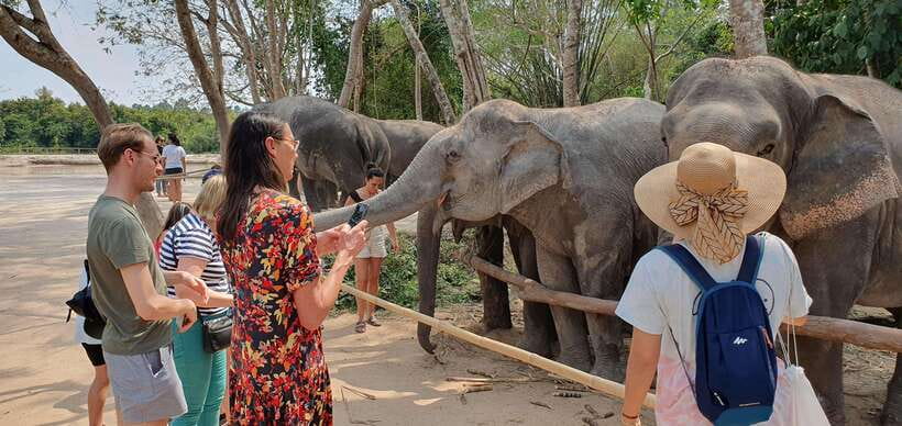 Siem Reap: Small Group Tour of Kulen Elephant Forest - Is $112 a fair price?