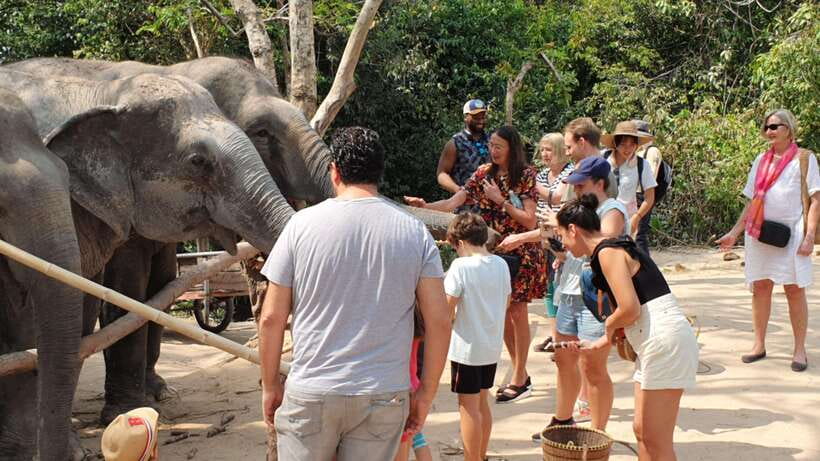 Siem Reap: Small Group Tour of Kulen Elephant Forest - The one-hour ride from Siem Reap