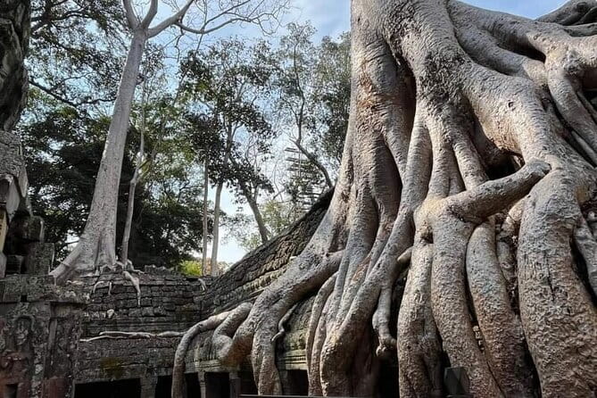 Siem Reap Temple Tuktuk Tour: Explore Angkor Wat and beyond. - Ta Prohm: roots, stone, and the Tomb Raider connection