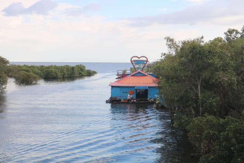 Siem Reap: Tonle Sap Lake - Fishing Village & Flooded Forest - The flooded forest: beautiful, but seasonal