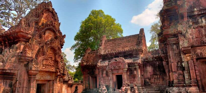 Siem Reap Tour Guide: Angkor Wat Sunrise Tour & Beng Mealea - Ta Prohm and the trees that changed its image