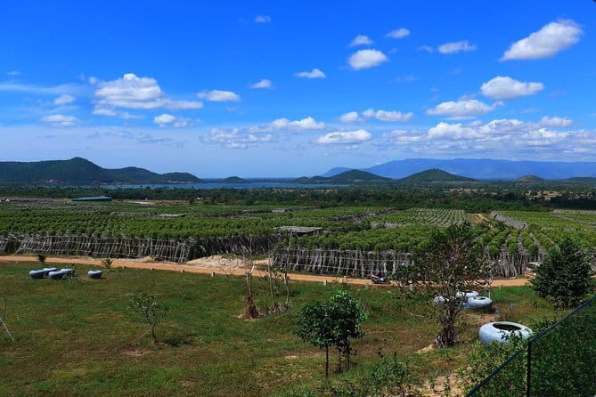 Sihanoukville Small-Group City Tour for Cruise Passengers - What the $47.20 price really covers