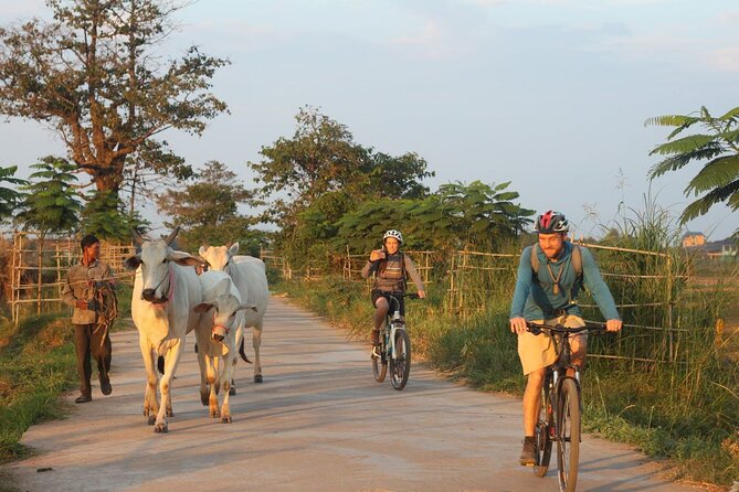 Silk Island at Twilight Cycle Encounter - Key points to know before you book