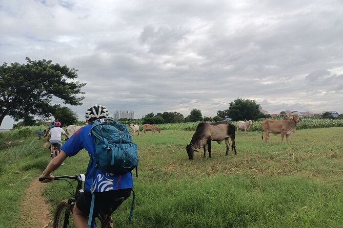 Silk Island at Twilight Cycle Encounter - The first ferry puts Phnom Penh in perspective