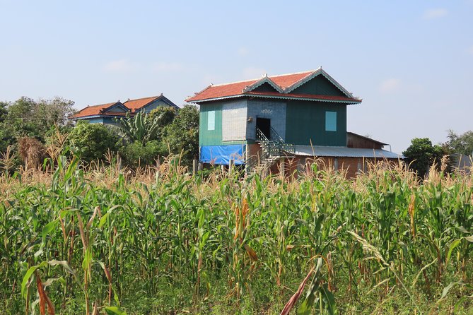 Silk Island & countryside of Phnom Penh by Tuk Tuk - Sedge mats and the work behind silk