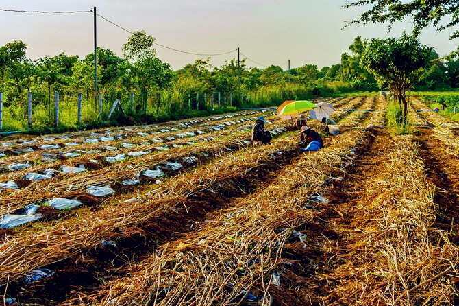 Silk Island Private Half-Day Tour from Phnom Penh - Transport, timing, and what the price covers
