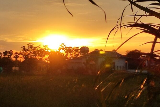 Small Group Countryside Bike Tours, Sunset & Picnic - Sunset over the fields with a cold drink