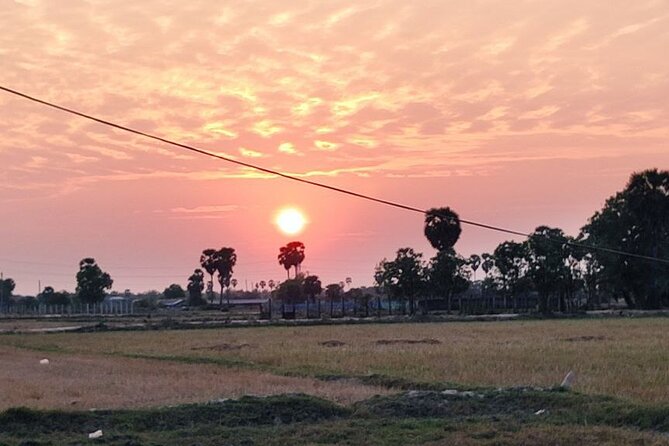 Small Group Sunset, Picnic & Countryside, Bike Tours - Local snacks, desserts, and street food