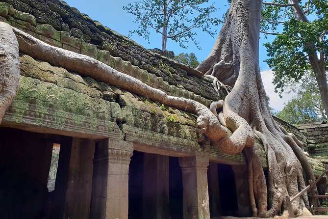 Special Three Days Angkor Tour - Transport, walking, and daily comfort
