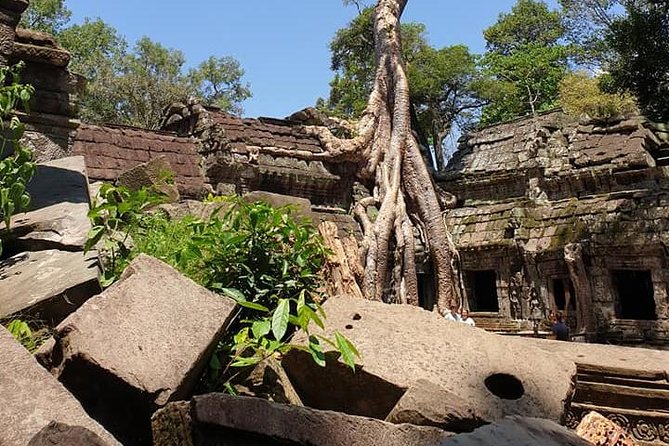 Special Three Days Angkor Tour - Who should book this Angkor tour?