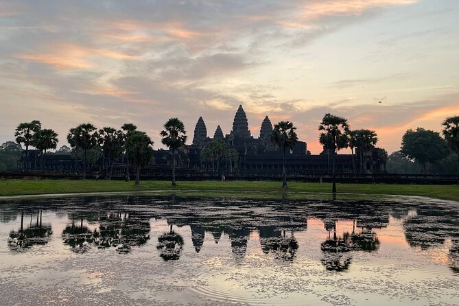 Sunrise Tour of Angkor Temples from Siem Reap - Ta Prohm and the appeal of ruins under trees