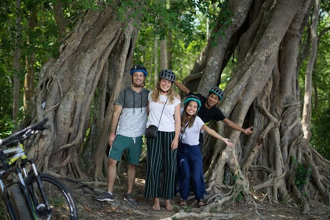 Sunset or sunrise bicycle tour around Angkor Wat and nearby temples - Banteay Kdei: a quieter ruin with striking trees