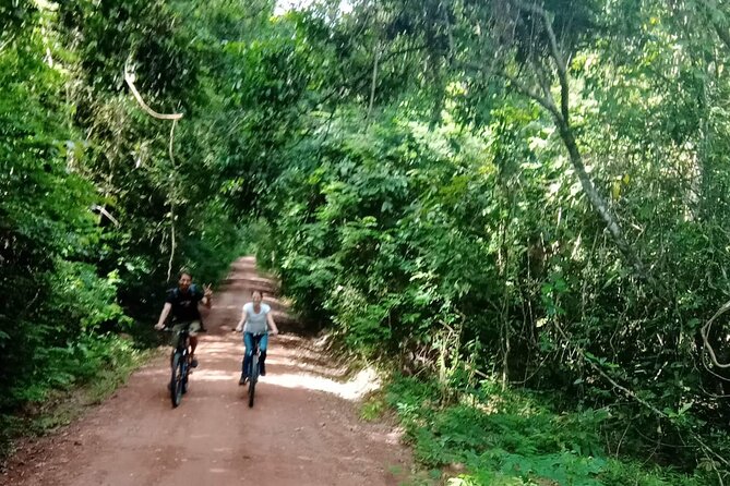 Sunset or sunrise bicycle tour around Angkor Wat and nearby temples - Angkor Thom and Bayon: faces at the center of the old capital