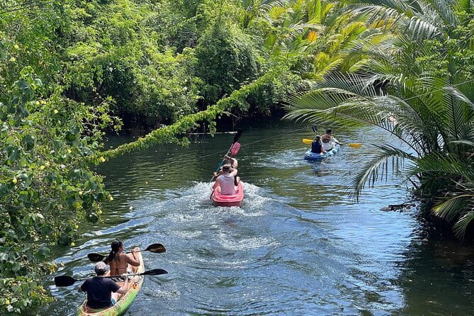 Sunset Scenic Kayaking and Swimming Activity - Key points to know before you go