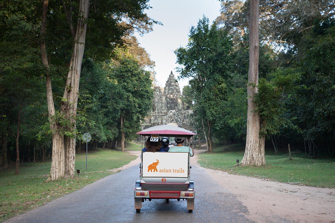 The Angkor Temples from Sunrise by Tuk Tuk - Ta Prohm and the trees that frame the ruins