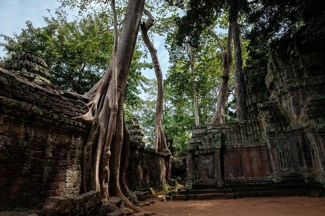 The Ultimate Angkor Wat Temple Private Day Trip - Practical Tips for a Better Visit