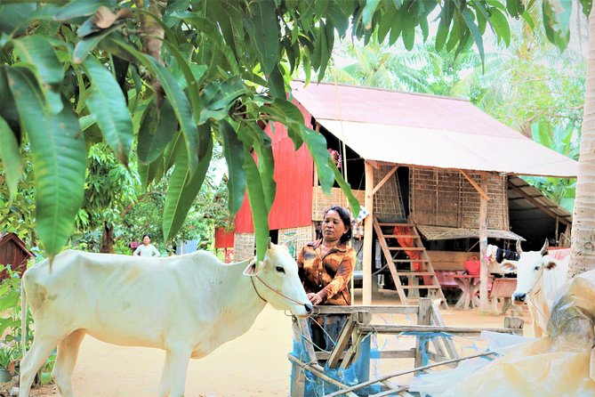 Tonle Sap Lake - Fishing Village & Flooded Forest - Guides who add meaning to the scenery