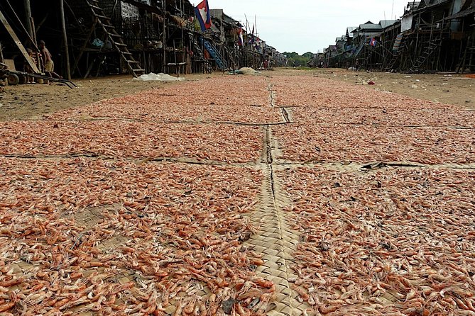 Tonle Sap Lake & Kampong Phluk Village Half-Day Tour - Is five hours enough?