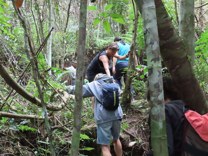 Trekking Tour at Phnom Kulen National Park from Siem Reap - The Valley of a Thousand Lingams