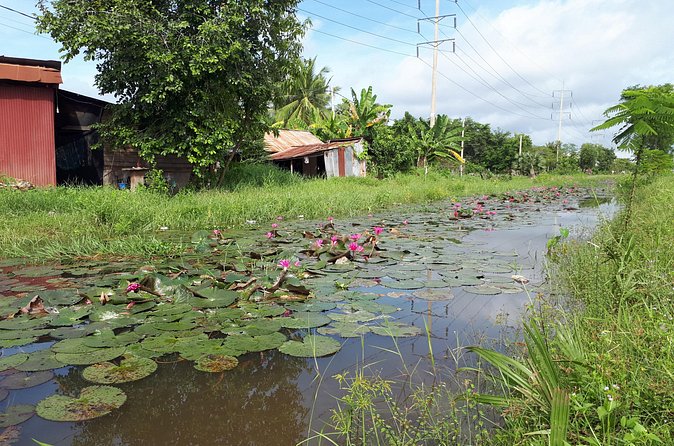 Tuk Tuk Journey: Exploring Rural Life and Silk Farm Craftsmanship - A short stop at វត្តខ្នាតរង្សី