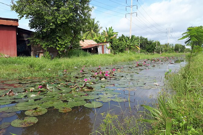 Tuk Tuk Journey: Exploring Rural Life and Silk Farm Craftsmanship - Who will enjoy this Siem Reap outing?