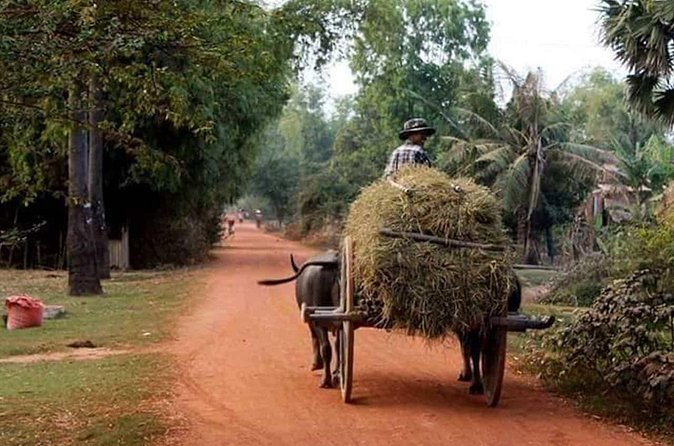 Tuk Tuk Journey: Exploring Rural Life and Silk Farm Craftsmanship - Practical advice before you book