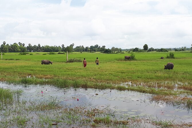 Tuk Tuk Journey: Exploring Rural Life and Silk Farm Craftsmanship - Should you book the rural life and silk farm tour?