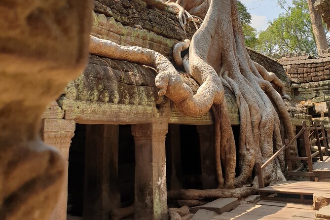 Two Days Angkor Tour - Dara’s flexible guiding style