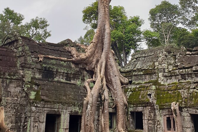 Two Days Angkor Tour - Artisans Angkor and the National Museum