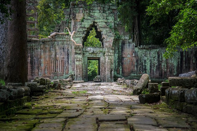Two-days tour discovering Angkor Wat and Floating Village - Ta Prohm, where trees take over the ruins