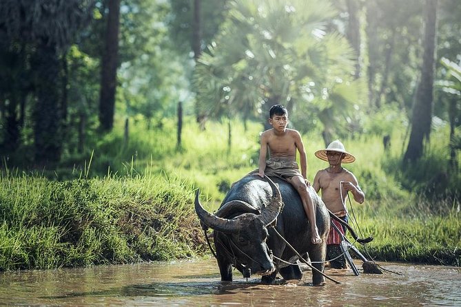Village Life Tour from Siem Reap - Key points before you book
