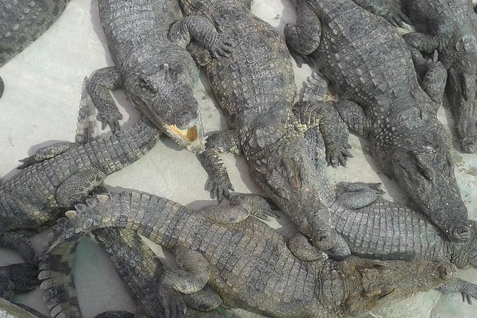 War Museum, Killing Field and Floating village ( Chong Kneas) Tour - The Siem Reap War Museum and Cambodia’s civil war